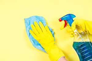 Cleaning Services